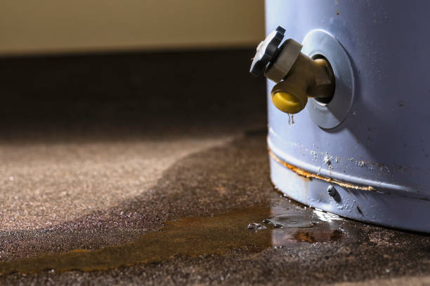 Best Water damage mitigation services  in Fort Campbell North, KY