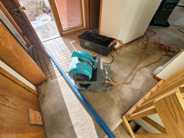 Best Flood damage cleanup  in Fort Campbell North, KY