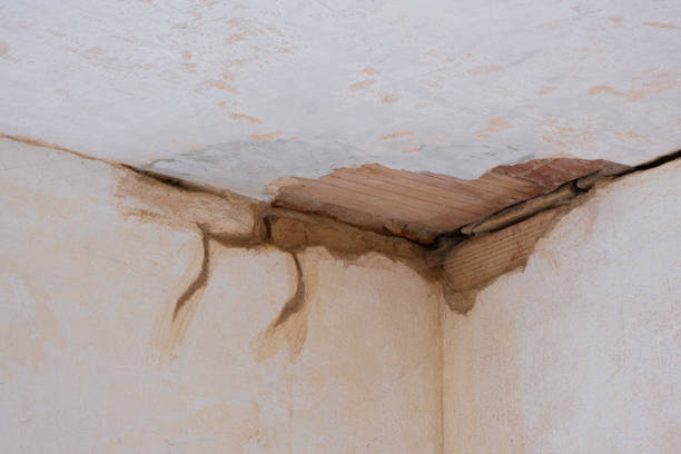 Best Water damage restoration mold remediation  in Fort Campbell North, KY