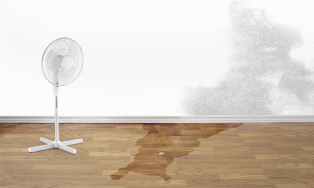 Best Water damage restoration insurance claims  in Fort Campbell North, KY