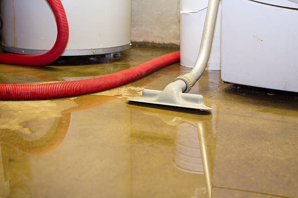Best Flooded house restoration  in Fort Campbell North, KY